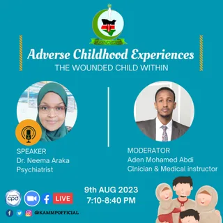 Poster for the CME Adverse Childhood Experiences: The Wounded Child Within